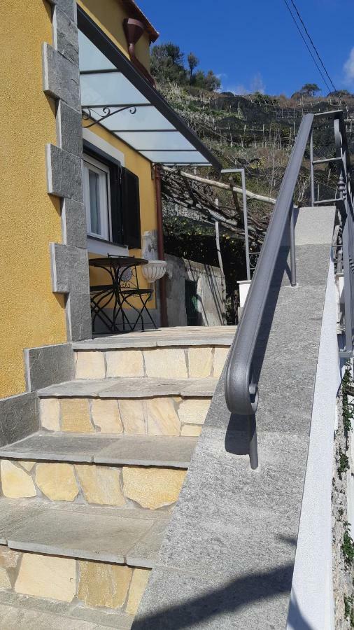 #La Limonaia Della Torretta Villa Minori Exterior foto