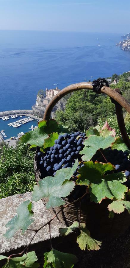 #La Limonaia Della Torretta Villa Minori Exterior foto